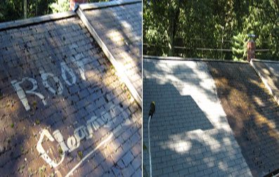 Roof Cleaning