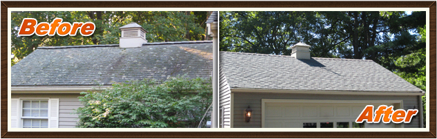 Before & After Image 4