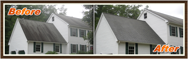 Before & After Image 1