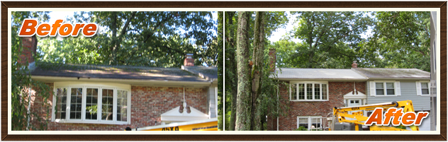 Before & After Image 2