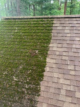 Molded Roof