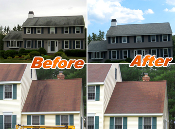Before & After